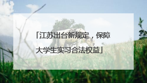 江苏出台新规定，保障大学生实习合法权益